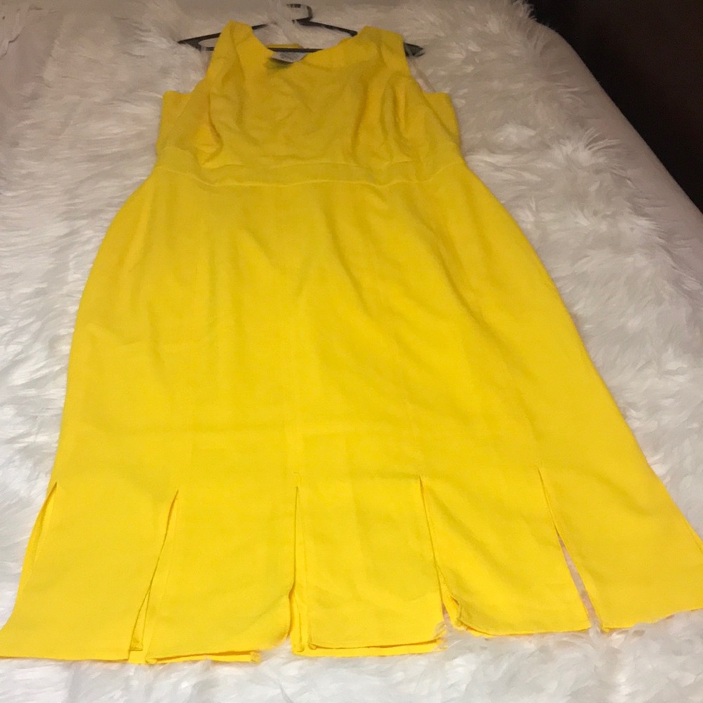 Carwash Hem Dandelion Yellow Dress